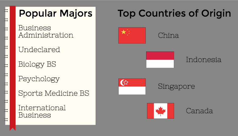 Screen Shot 2017-08-24 at 10.41.53 PM.png