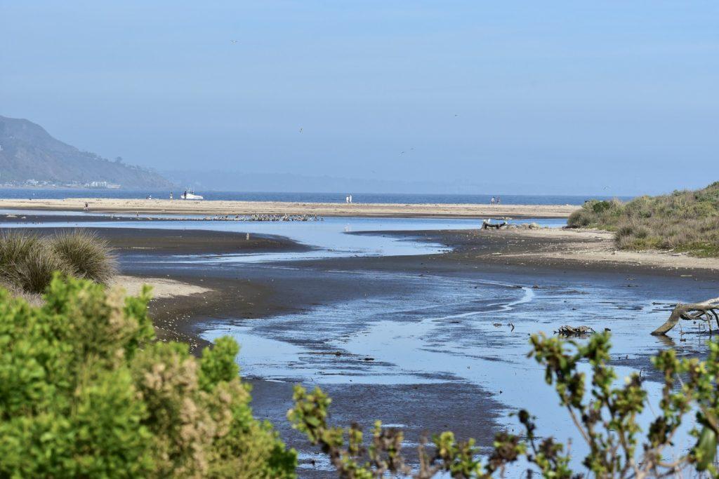 Students said they found benefits in taking a "fast" from social media. Modeled by Lorenzo Mars.